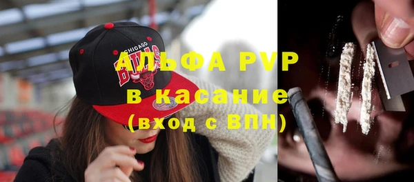 спиды Медвежьегорск