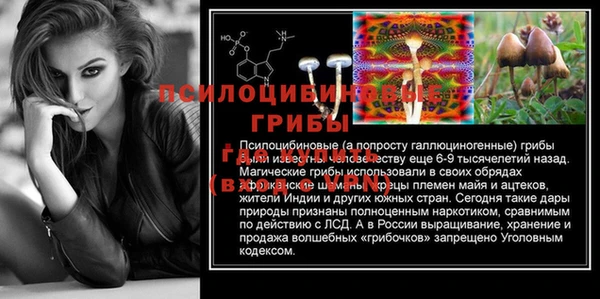 спиды Медвежьегорск
