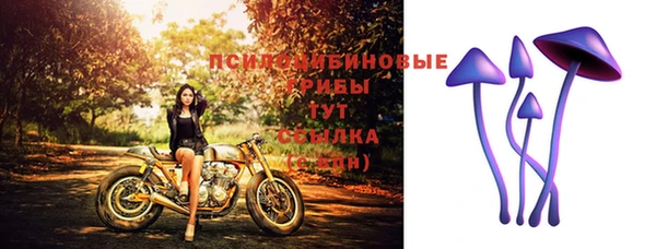 спиды Медвежьегорск