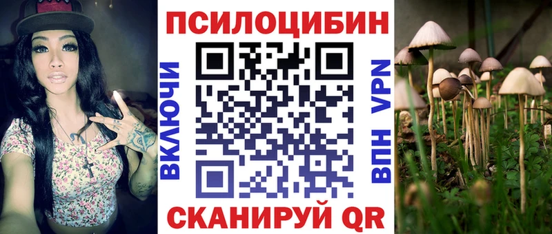 Псилоцибиновые грибы Psilocybine cubensis Суздаль